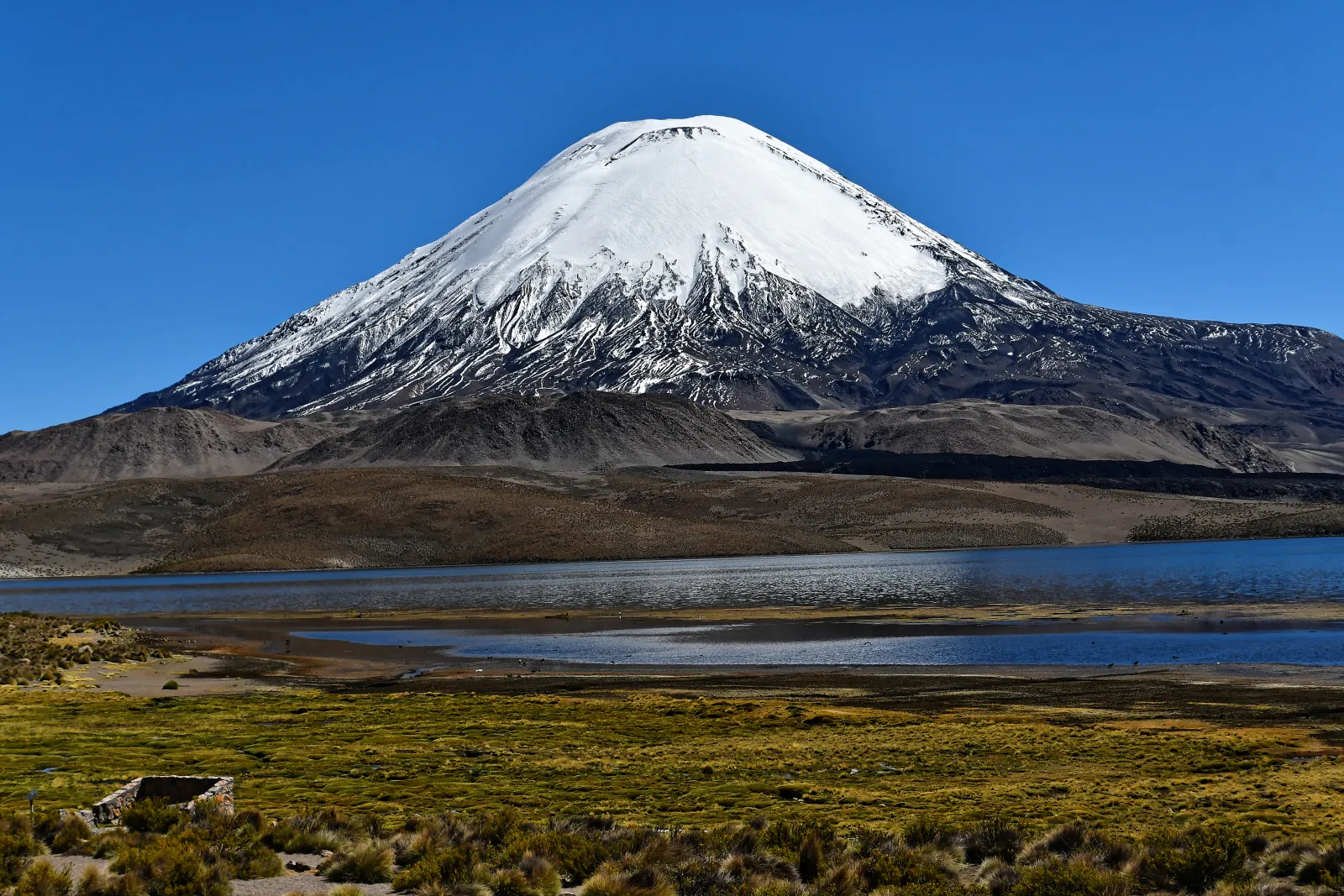 Sajama National Park, Bolivia