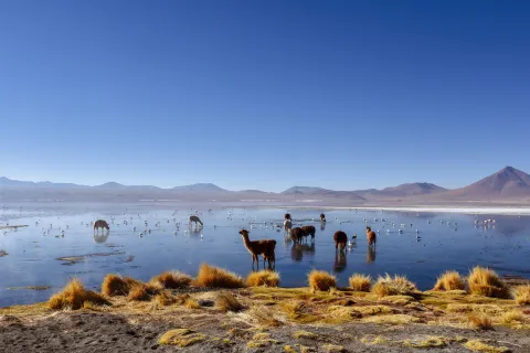 Uyuni