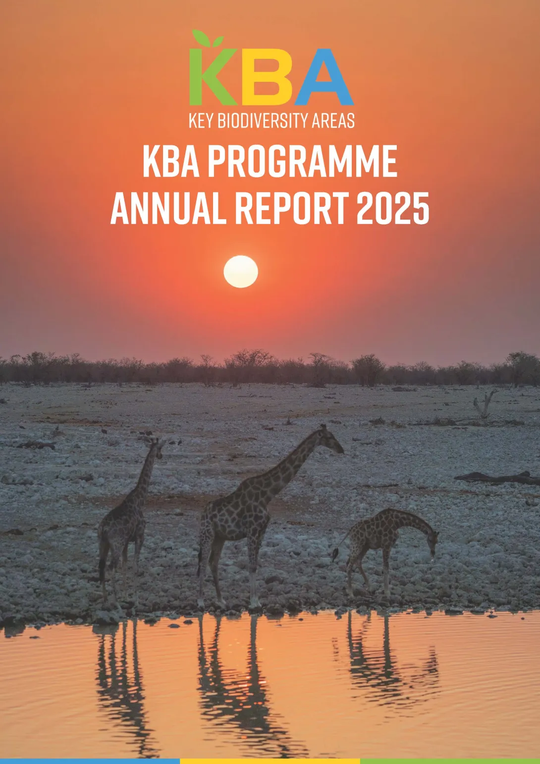 Annual Report 2024