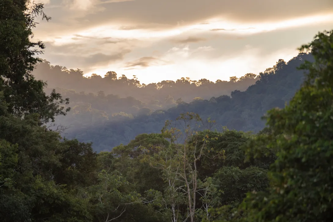 Other Working Groups