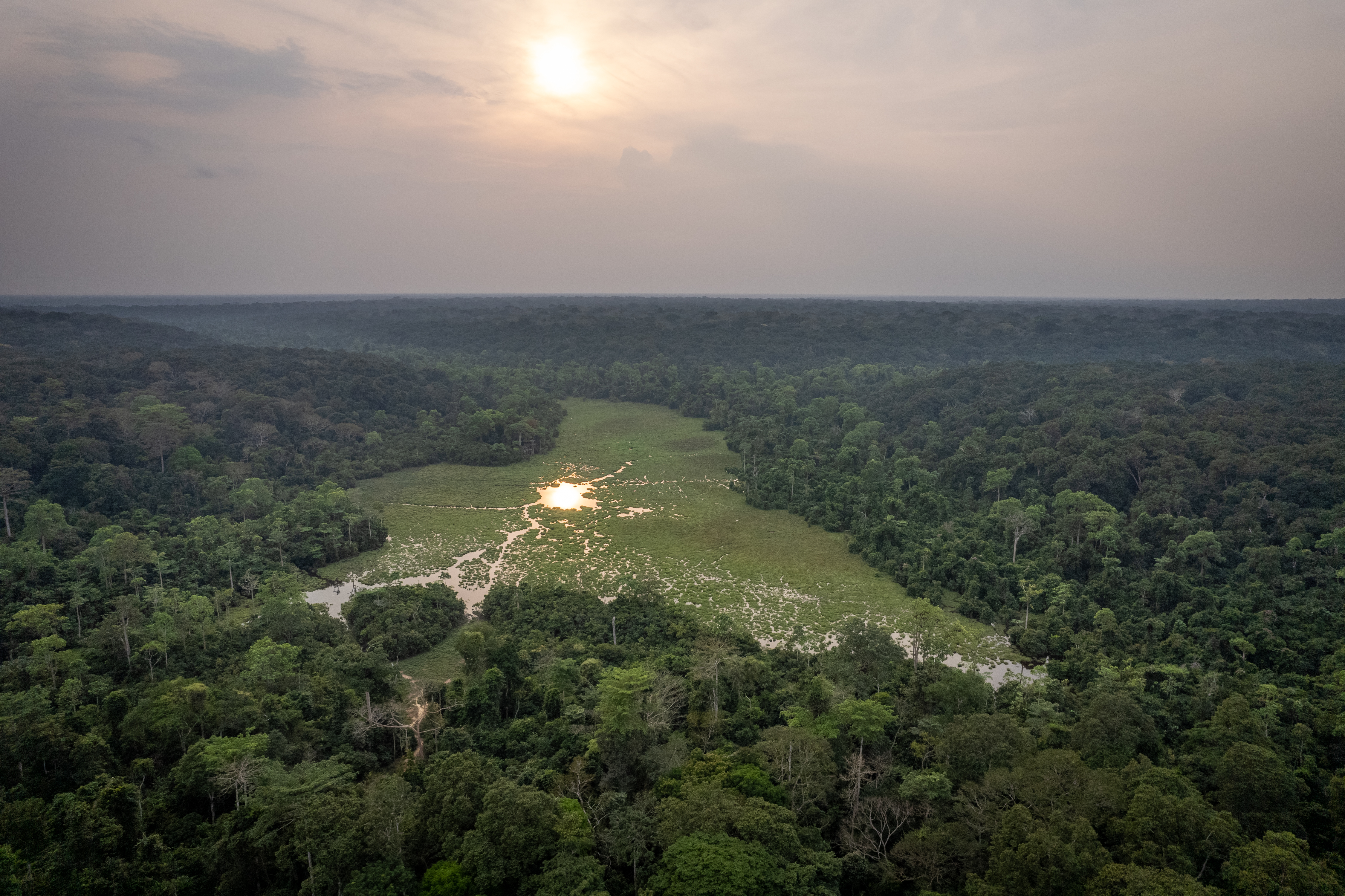 Mbéli Baï © Will Burrard-Lucas