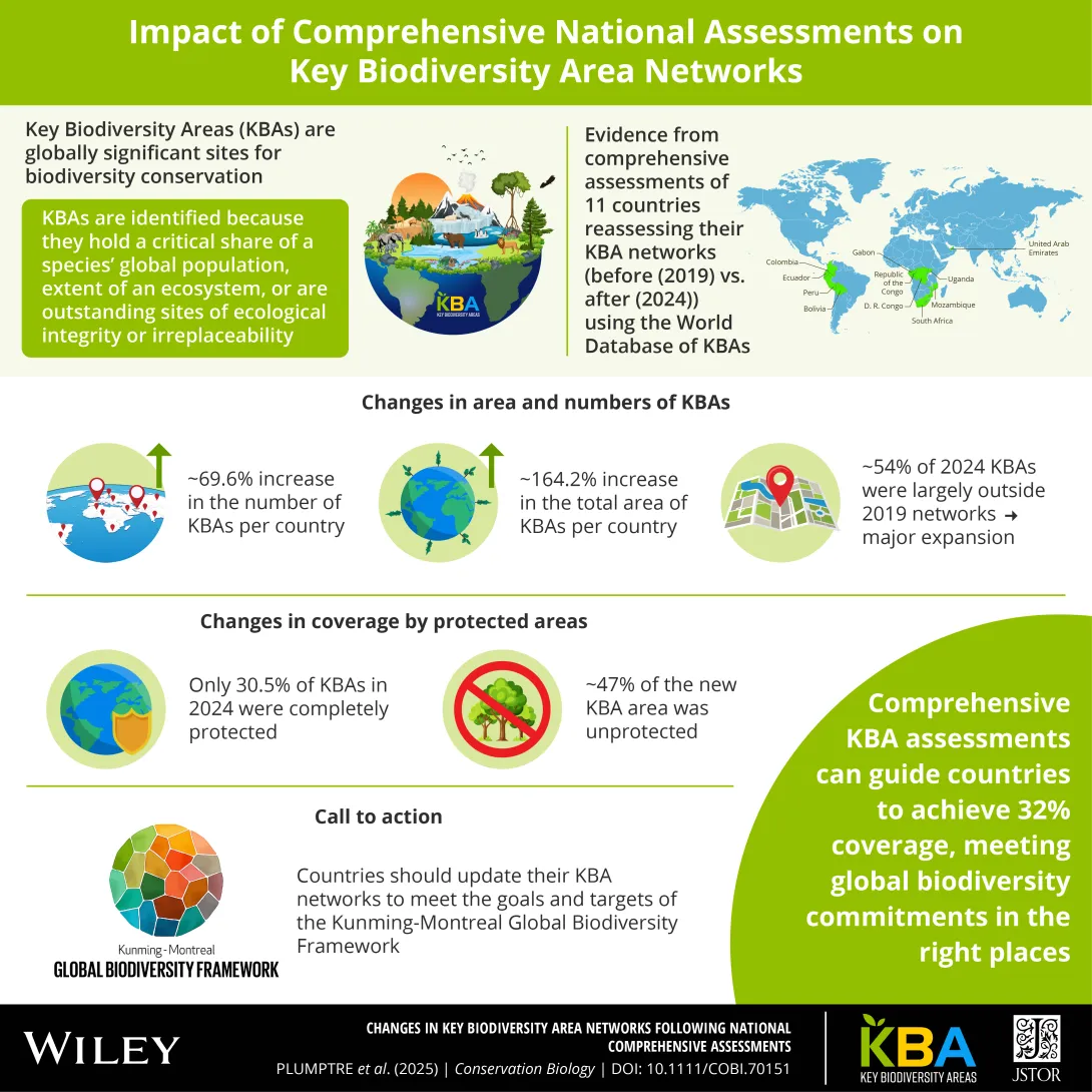 Infographic comprehensive assessments paper square